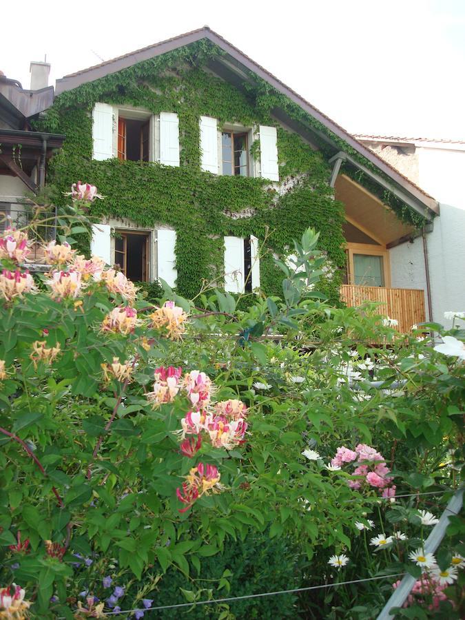 Wonderlandscape Guest House Le Grand Saconnex Exterior photo
