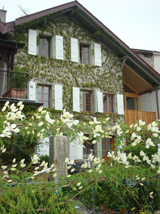 Wonderlandscape Guest House Le Grand Saconnex Exterior photo