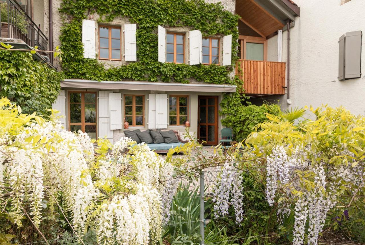Wonderlandscape Guest House Le Grand Saconnex Exterior photo